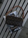 LV Wallet on Chain Ivy Bag