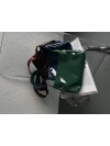 Liana Green Bag